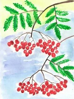 Рисование кисть рябины гроздь калины