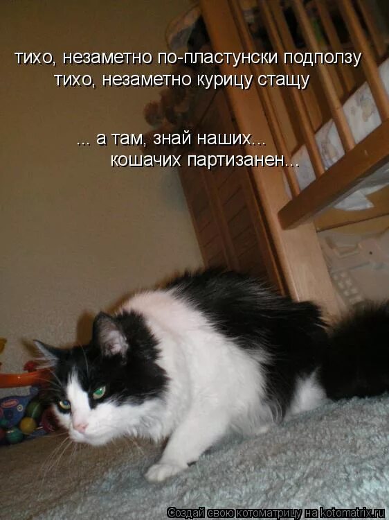 найди снайпера. старость пришла. старость подкралась незаметно. незаметный форум. просто помни картинка.