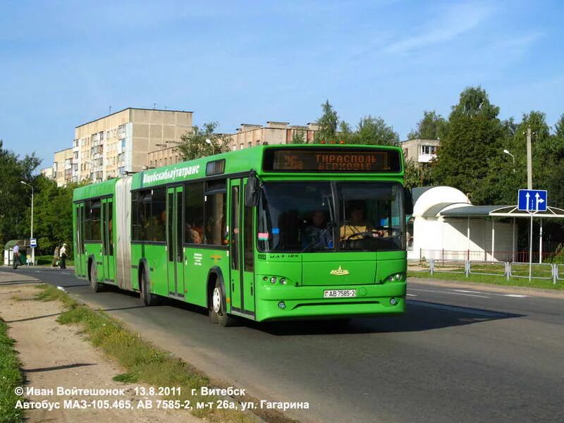 маршрутки в витебске. автобусный парк витебск 2005. 562. витебский парк транспорт. транспорты витебска.