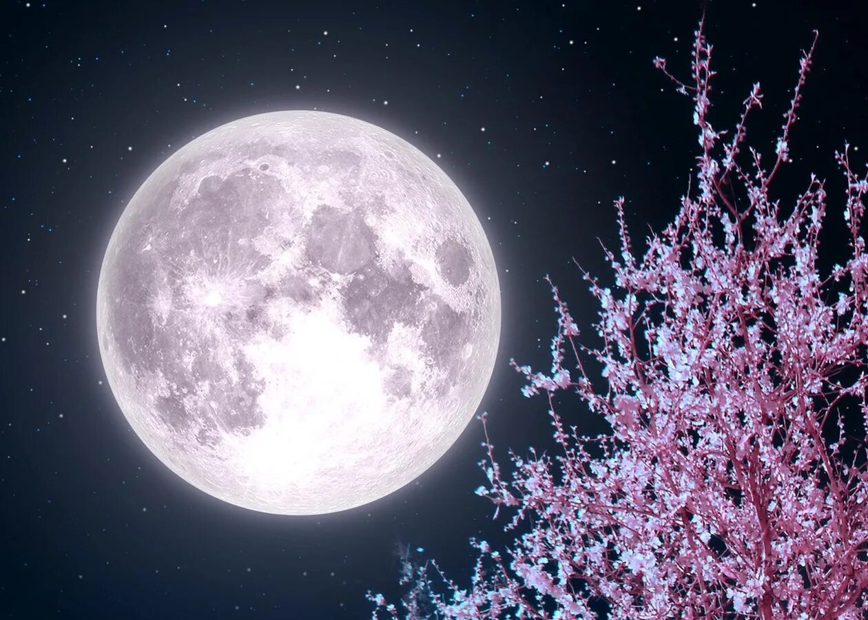 Луна картинки. Луна. Красивая Луна. Полнолуние. Розовая Луна.