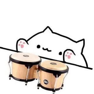 Drum cat