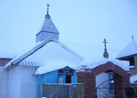 Алтайский красногорский березовка