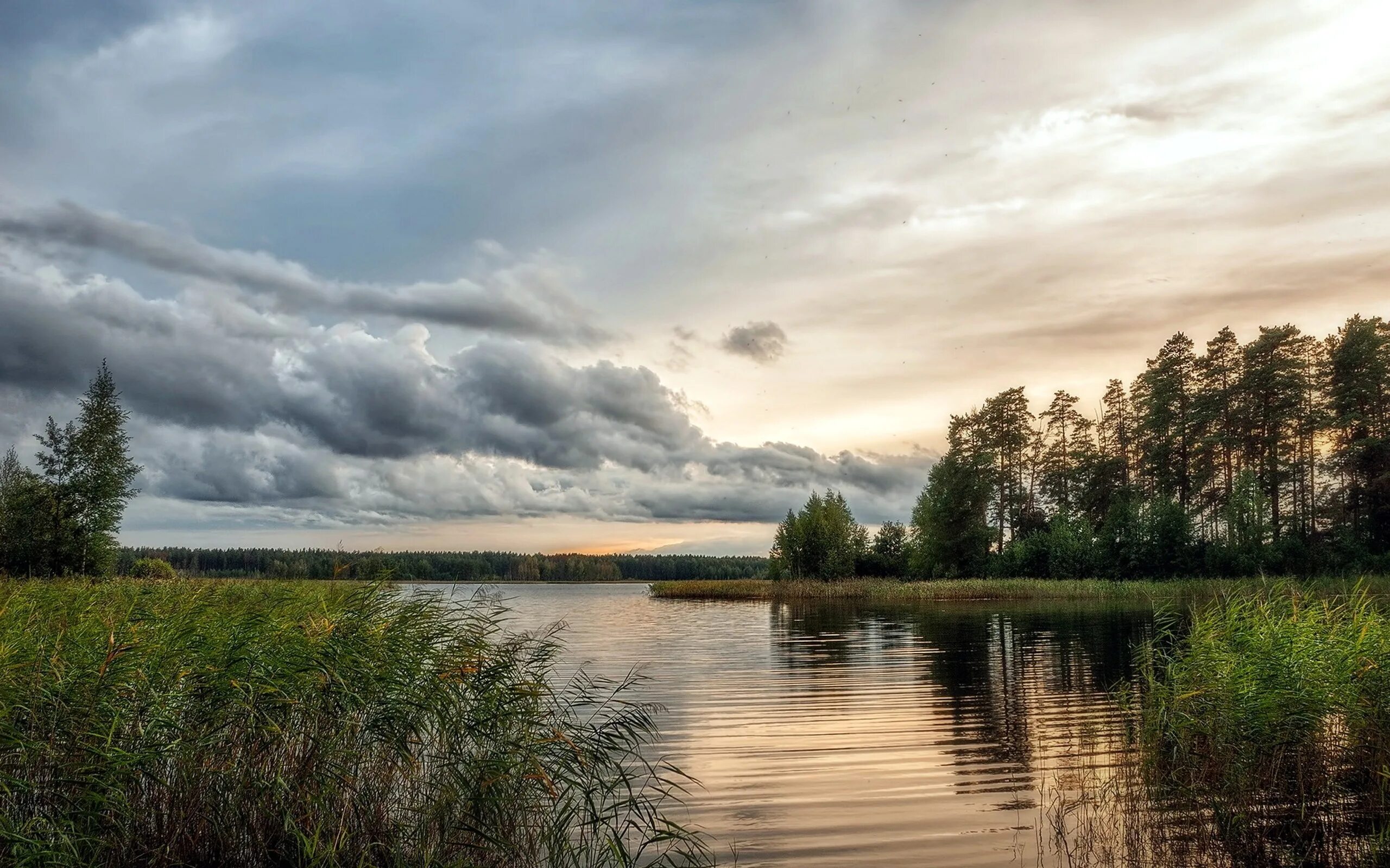 Озеро Инютино Нижегородская область. Озеро Светлояр Нижегородская область. Озеро Кафтино. Виштынецкое озеро. Природа плавней