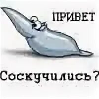 Ни ответа ни привета