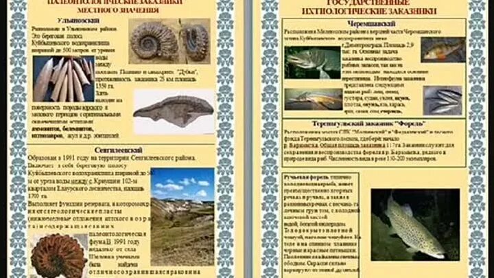 Проект разнообразие природы ульяновской области Книга природы родного края.