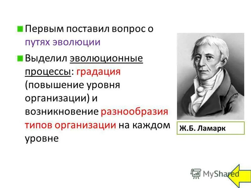 Уровня организации в процессе эволюции