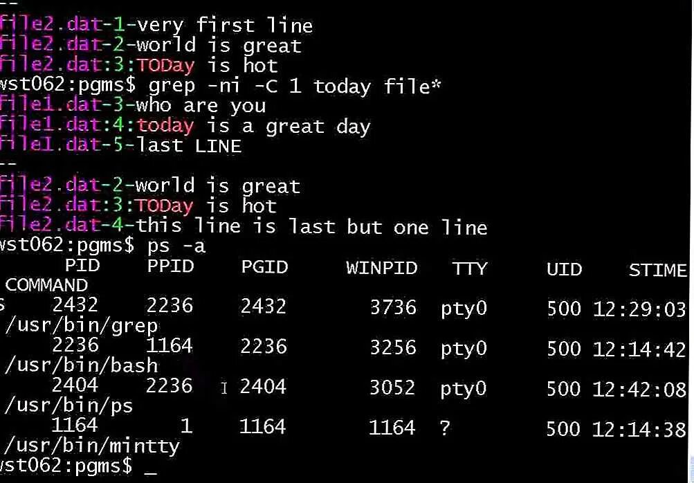 Утилита grep. Grep линукс. linux grep command. grep bash. bash команды.