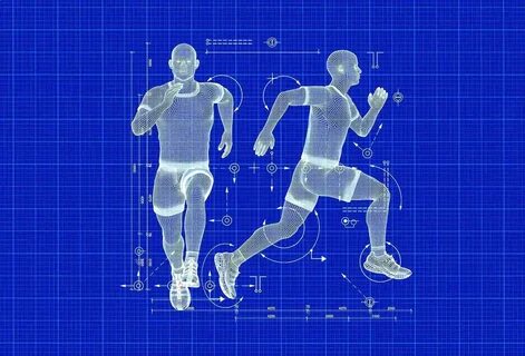 Физиология спорта