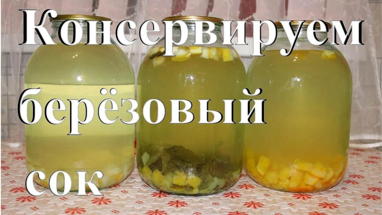 Компот из березового сока на зиму. Консервирование березового сока. консервация березового сока. березовый сок консервация в домашних. закатка березового сока.