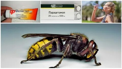 Умирает ли шершень