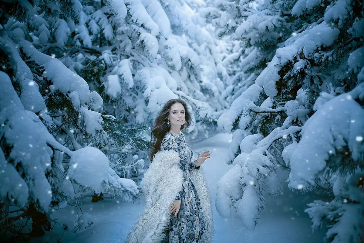 Фотография зимняя сказка. Красавица зима. зимняя сказка. девушка в зимнем лесу.