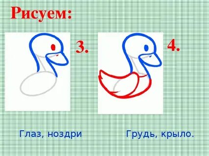 Гуся 2 класс
