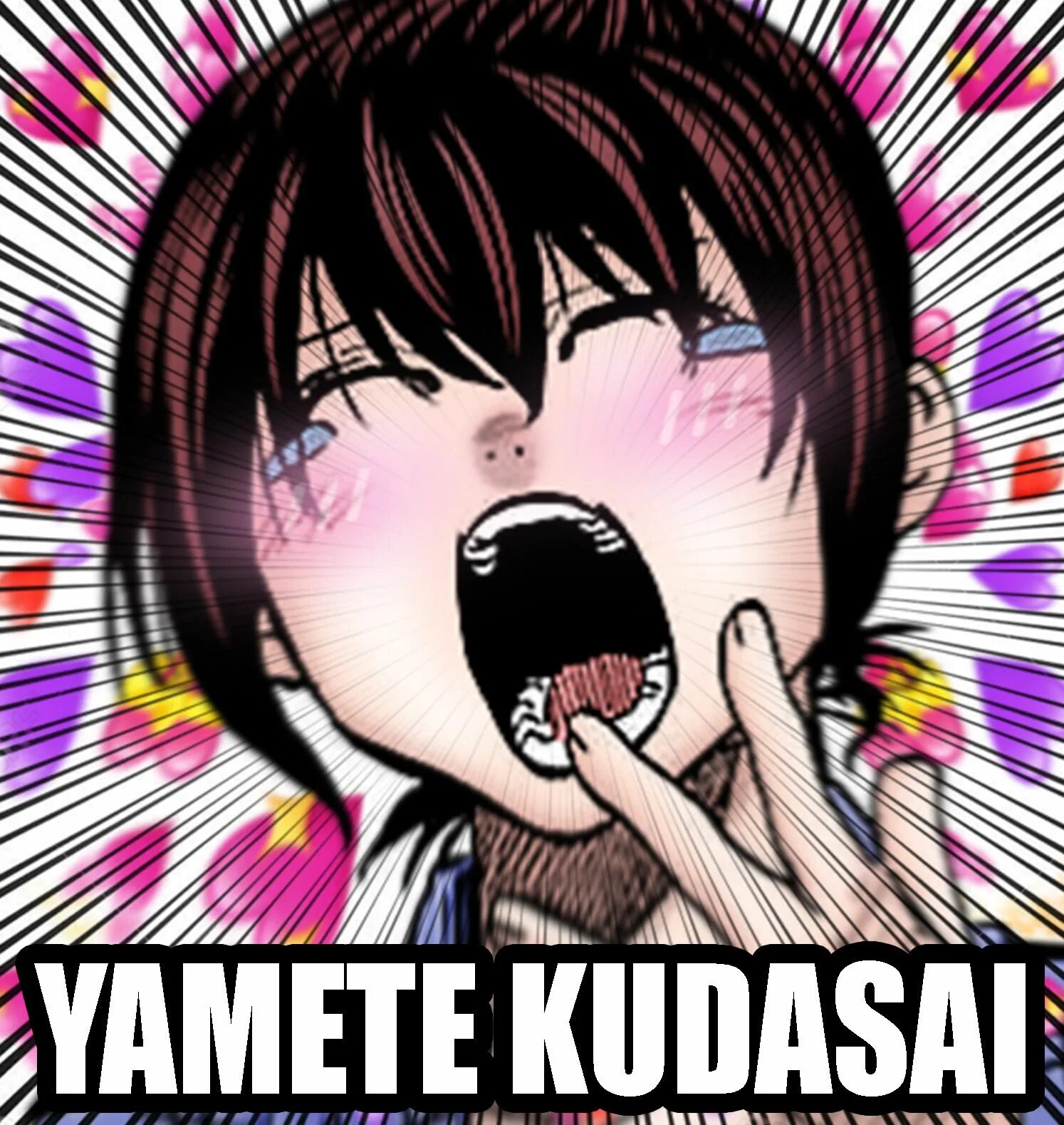 Yamete Kudasai.