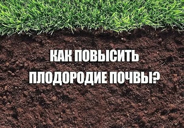 Повышения плодородия земель. Почва в руках. Здоровая почва. Почва плодородие почвы. Почва.