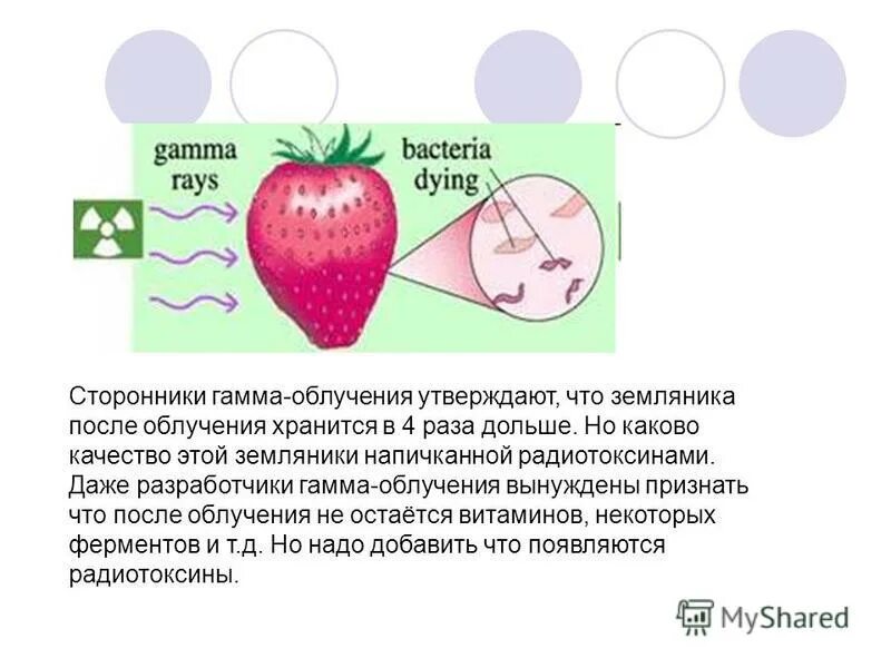 Температура после клубники