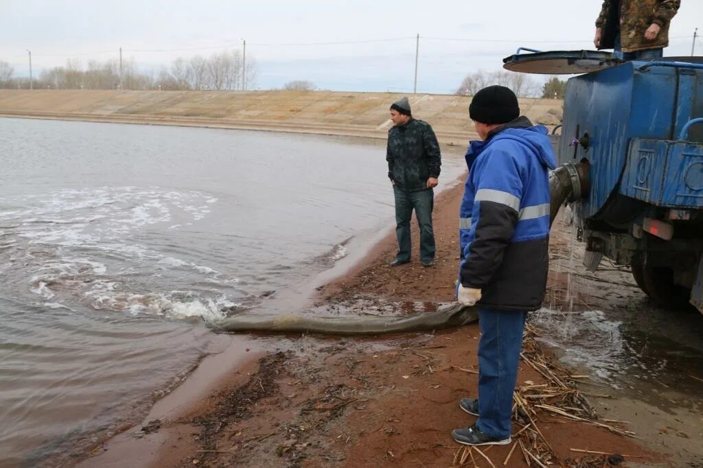 Сорочинск водохранилище