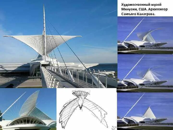 Художественный музей Милуоки (арх. Сантьяго Калатрава). Калатрава музей Милуоки Архитектор. Сантьяго Калатрава Бионика. Архитектор Сантьяго Калатрава. Художественный музей Милуоки в США.