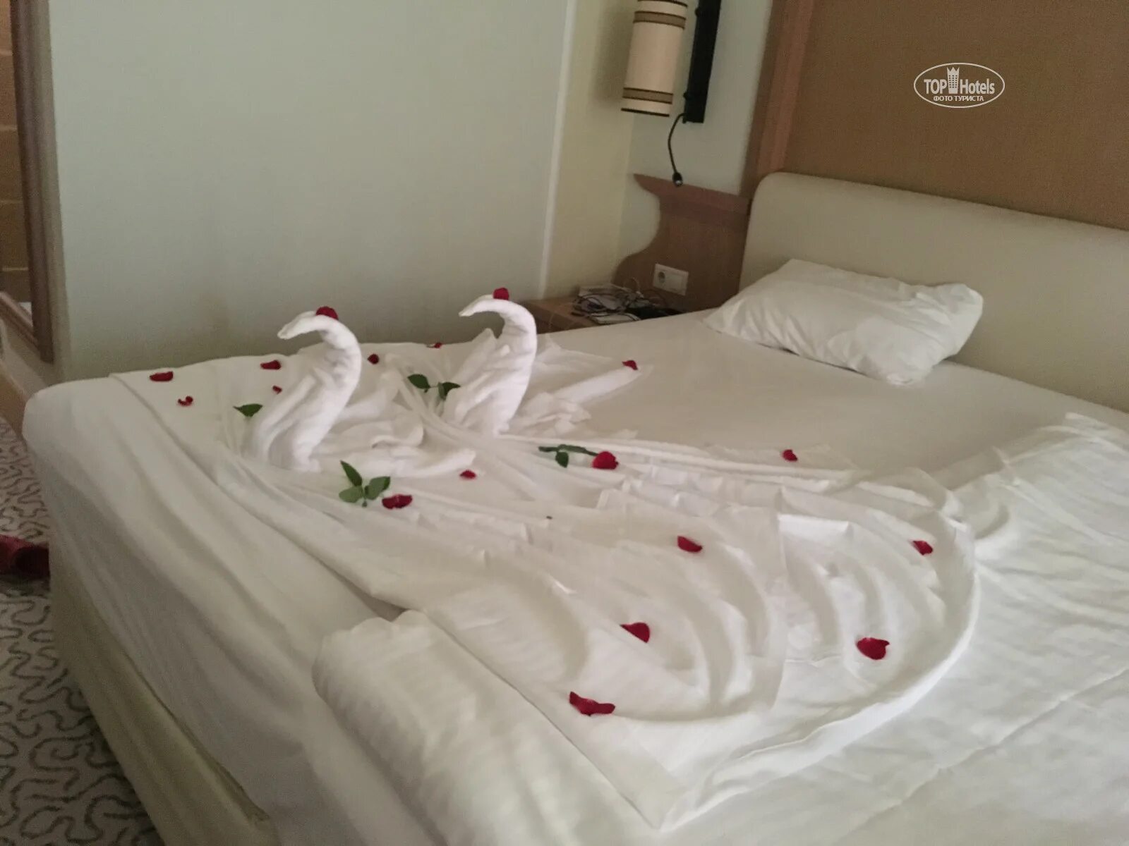 Dobedan beach resort comfort отзывы. Отель dobedan Beach Resort Comfort 5 звезд. Отель dobedan Beach Resort Comfort минусы отеля. Альва Донна пляж. Dobedan Beach Resort Comfort как выглядит отель.