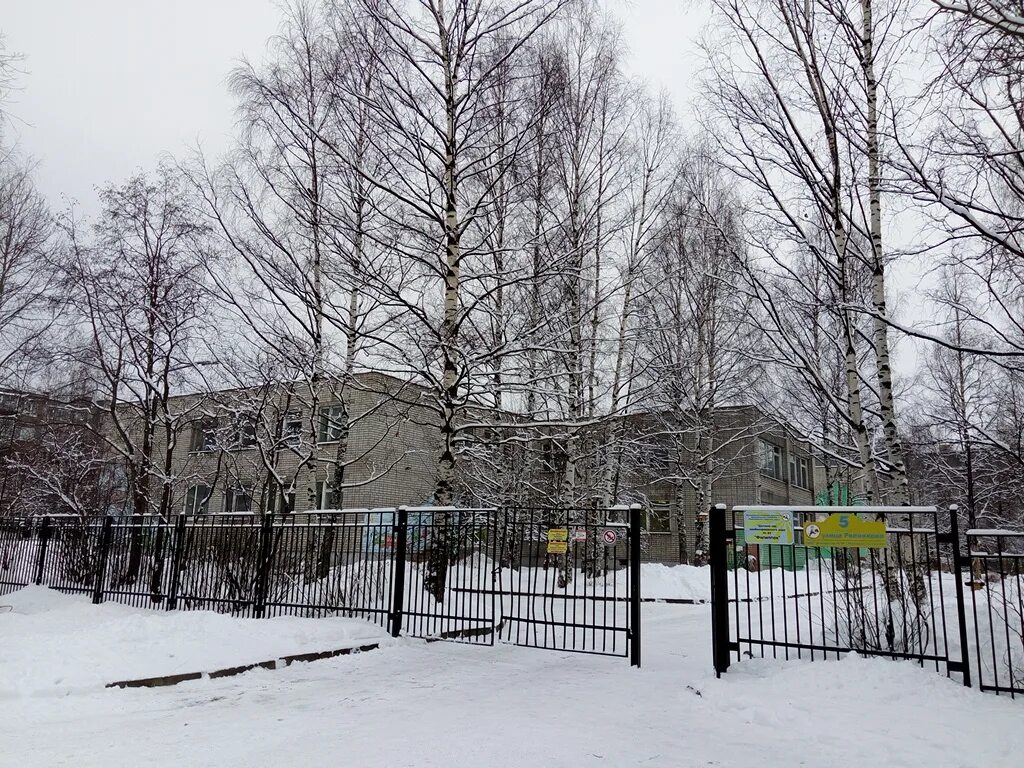 89 садик петрозаводск. Детский сад 5 петрозаводск. 72 детский сад петрозаводск. Детский сад 5 гармония петрозаводск. Петрозаводская 14 детский сад.
