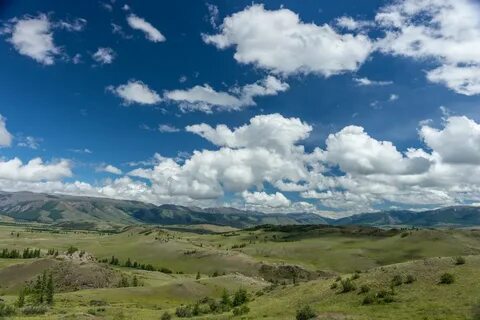 Степи алтайского края