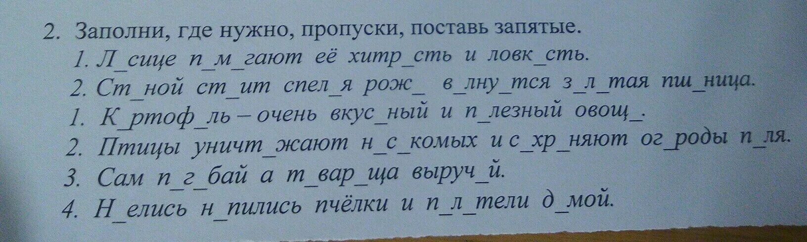 Заполни пропуски поставь запятые. Заполни где нужно пропуски поставь запятые. Русский заполни где нужно пропуски и поставь запятые. Заполни пропуски нужными словами.