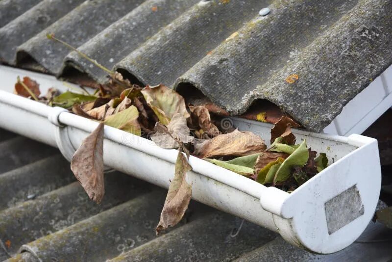 Clean leaf. Очистка листьев. roof gutter. gutter cleaning before after. фильтр от листьев.