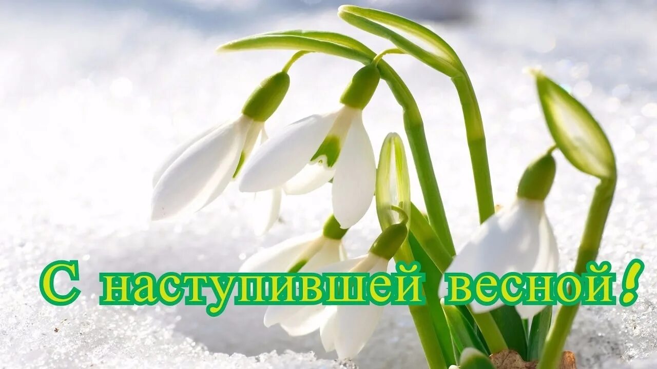 С первым днем весны. С первым днем весны поздравления. Поздравление с весной. S prrvom dnyon Vesni.