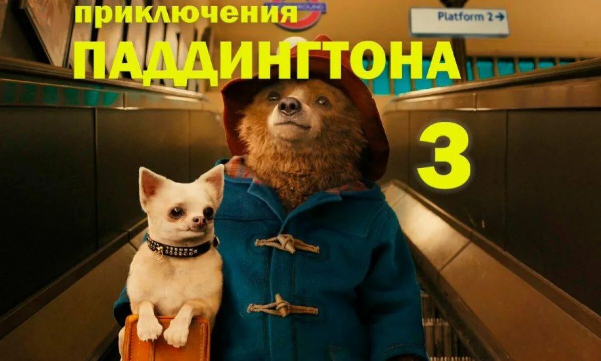 Приключения паддингтона фильм 2014. Паддингтон 3. Приключение паддингтон 3. Приключения паддингтона 3. Паддингтон миссис браун.