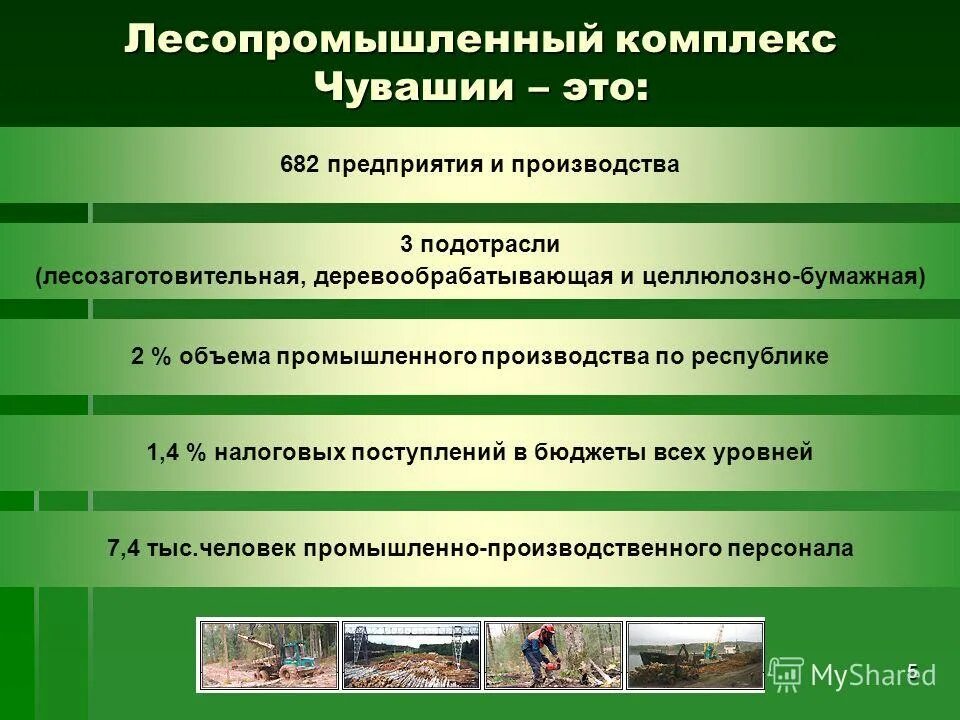 какие проблемы стоят перед лесопромышленным