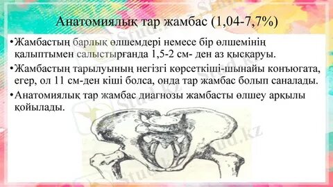 Кең жамбастың суреті