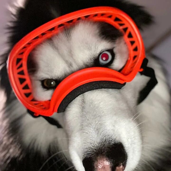 Razer kraken на манекене. Оригинальный звук ли. Оголовье для наушников razer kraken x. Kao. Оригинальный звук - po.