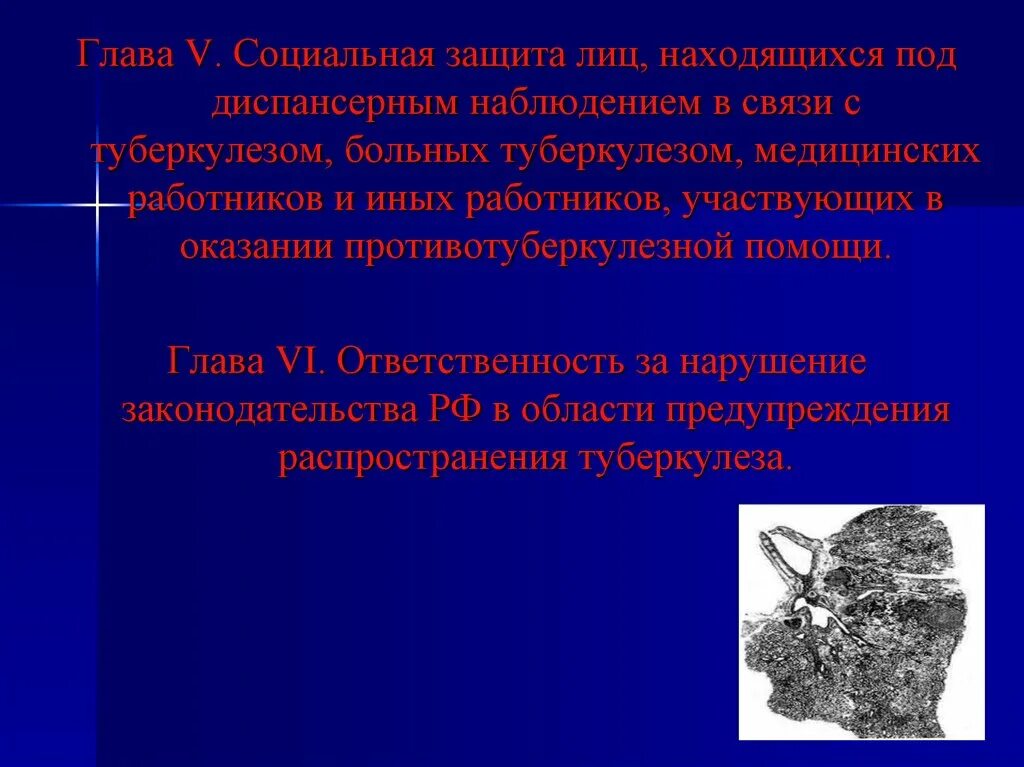 Глава 6 ответственность