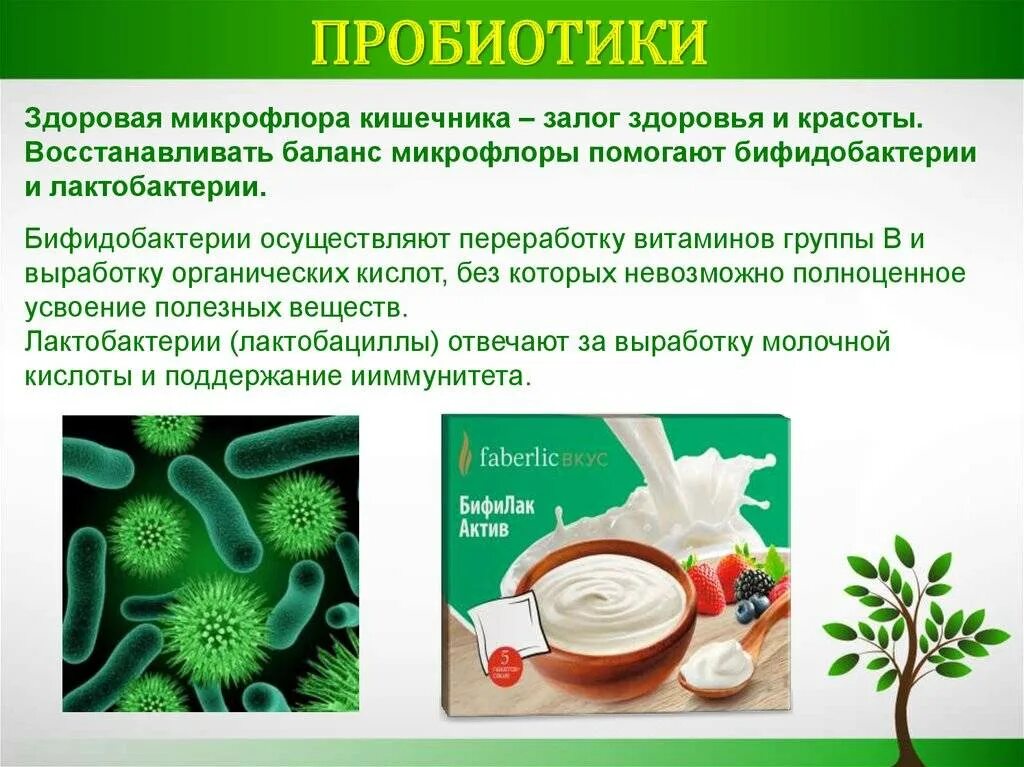 Для каких продуктов человек использует бактерии. Здоровая микрофлора кишечника. пробиотики. пробиотики для микрофлоры кишечника. полезные бактерии пробиотики.