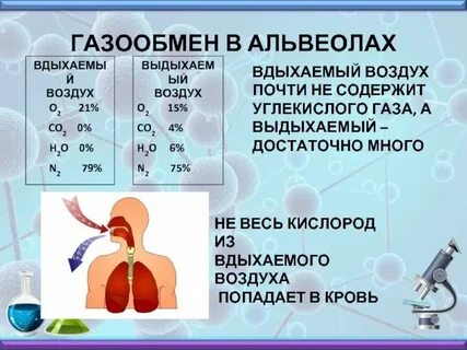 Бедна кислородом течет в малом кругу