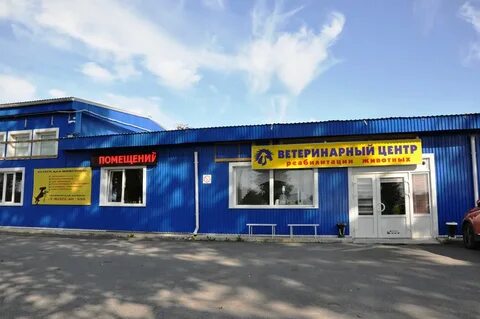 Вивалавита ветклиника гатчина отзывы