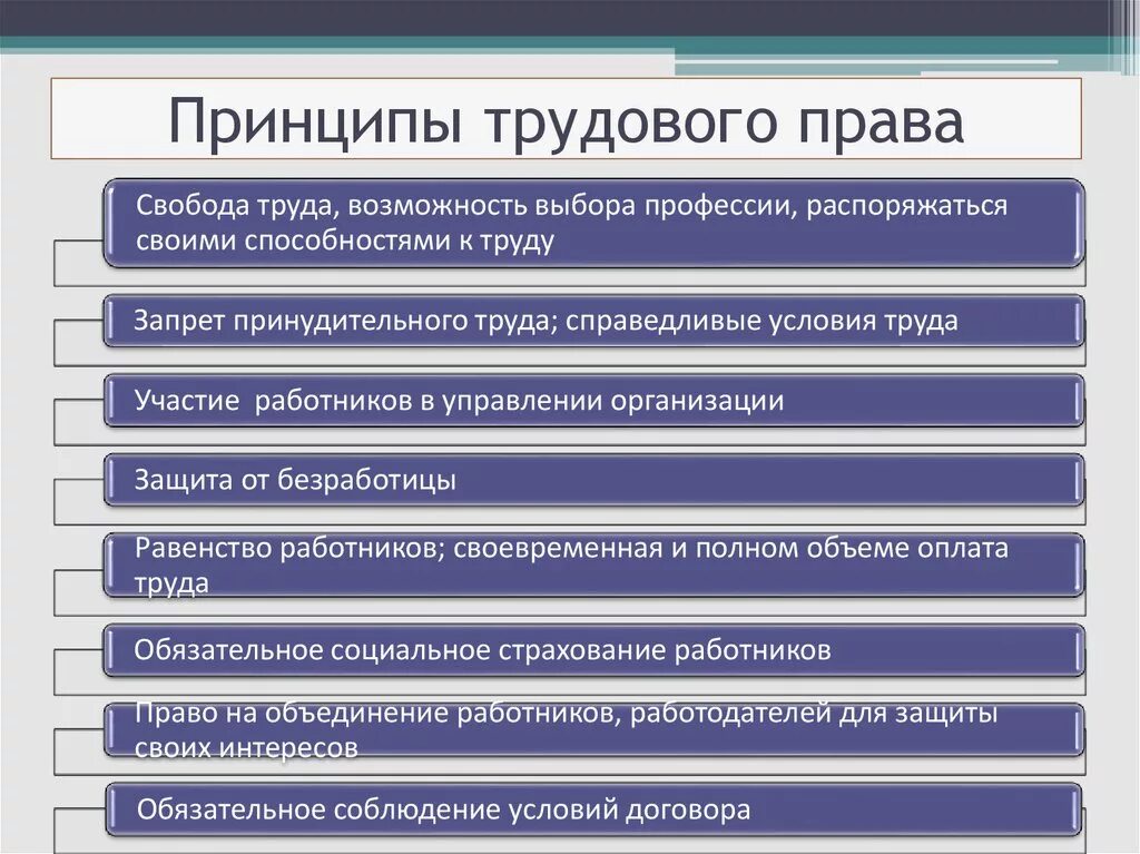 Трудовое право основной документ