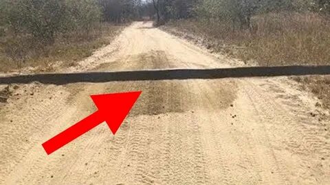 На дороге лежит мягкая и теплая пыль
