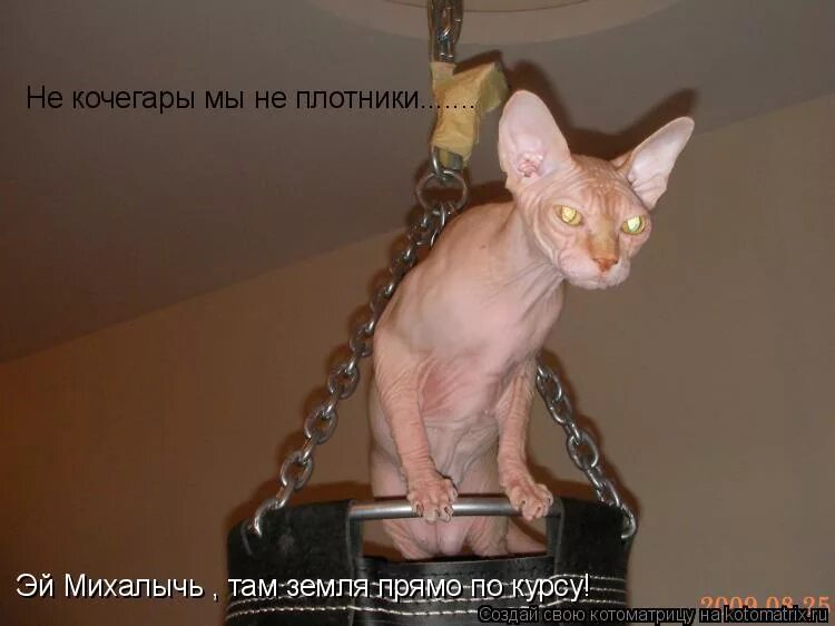 ни кочегары мы не плотники. мы не кочегары мы не плотники. не кочегары мы, не плотники. кочегары мы не плотники не кочегары. мы кочегары мы не плотники.