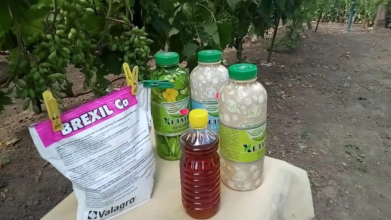 Брексил кальция для томатов