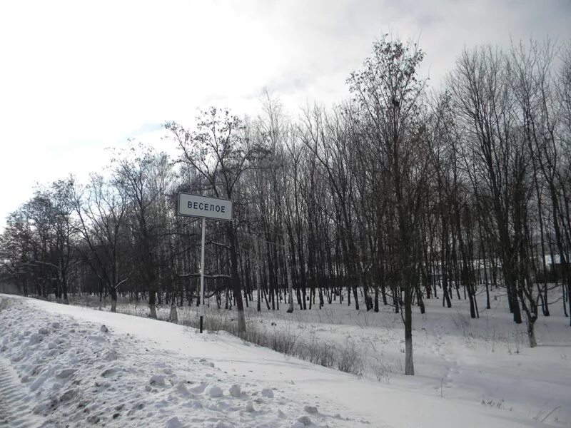 Погода в веселом белгородской области красногвардейского района. Село веселое Красногвардейский район. Село веселое Белгородская область. Весёлое Белгородская область Красногвардейский. Веселое Красногвардейского района.