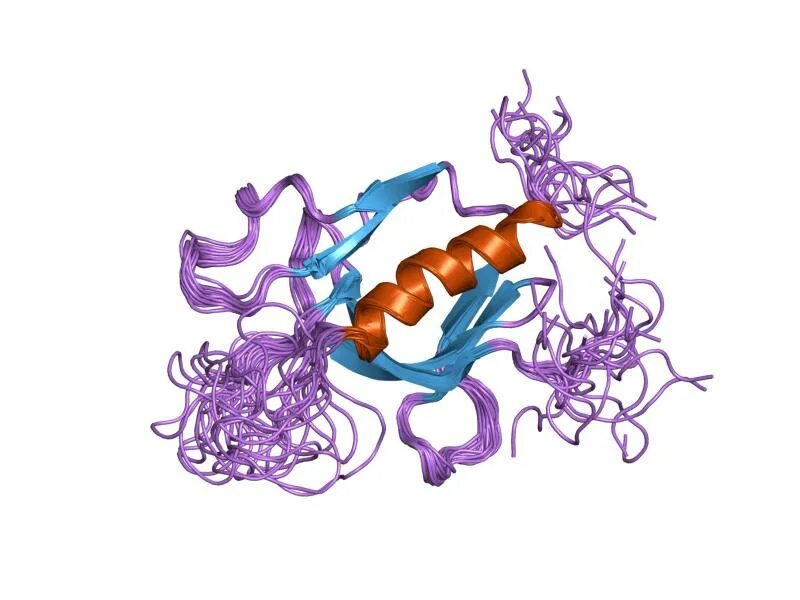 Протеинкиназы d. Киназа фермент. Серин треонин киназа. Протеинкиназа м. Протеинкиназа d.