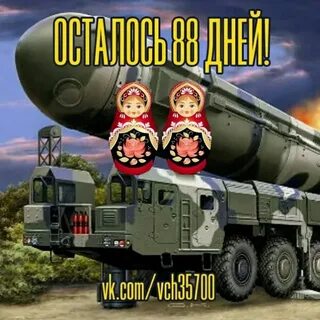 Матрешки 88 дней до дембеля