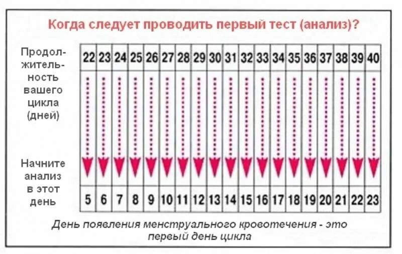 Забеременеть первого цикла. Когда делать тест. Когда делать тест на беременность. Когда делать тест на берем. Когда можно делать тест на беременность.