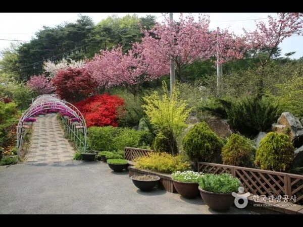 Natural Korean Garden Style Garden styles, Garden pictures, Garden images