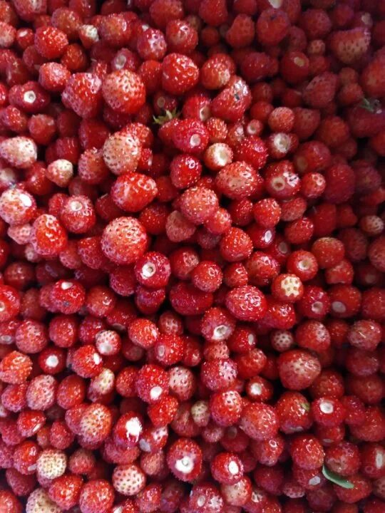 Томская область, село кожевниково, комсомольская улица, 109. Новости регион 70 дтп кожевниково. Кожевниково лайф. Кожевниково лайф. Лайф кожевниково вконтакте.