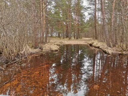 Коккоревский заказник и экотропа