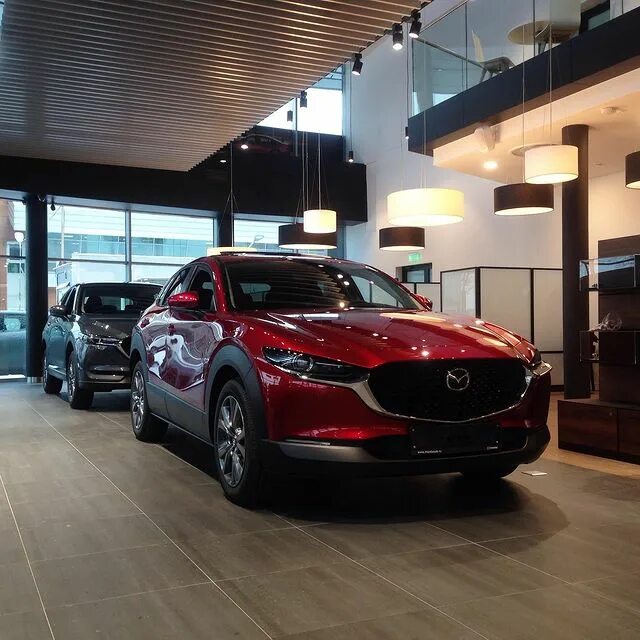 Мазда на пулковском шоссе. Евросиб-авто пулковское ш 36 корп 3. Автосалон мазда на пулковском шоссе. Евросиб пулковское шоссе. Евросиб пулковское шоссе.