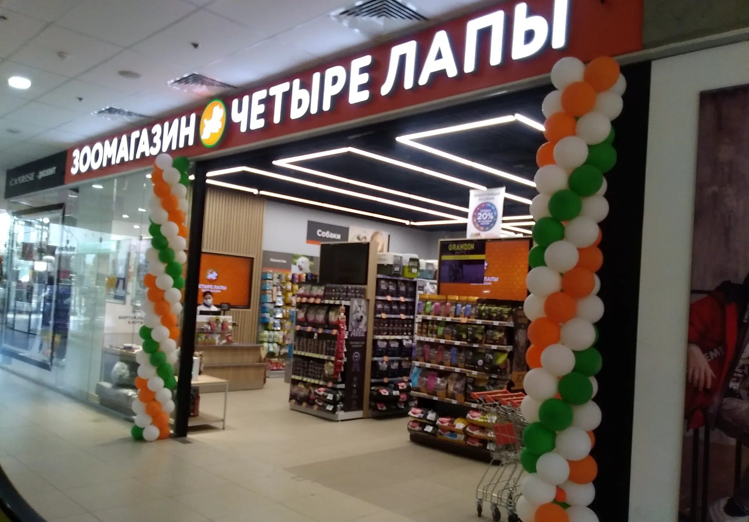 Четыре лапы, москва, волгоградский проспект. 4 лапы волгоград интернет магазин. 4 лапы. 4 лапы волгоград. 4 лапы краснодар.