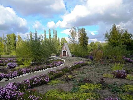 Новошахтинск цветы