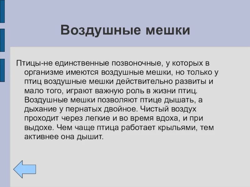 Какую функцию выполняют воздушные мешки. Функции воздушных мешков у птиц. Воздушные мешки функции. Какова роль воздушных мешков у птиц. Роль воздушных мешков.